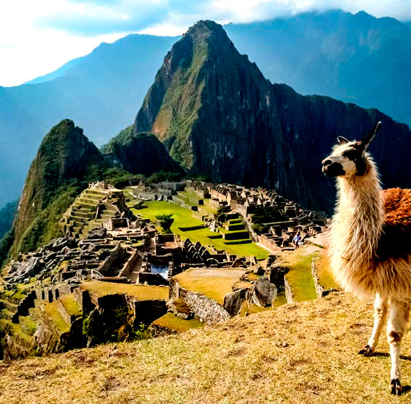Machu Picchu Full Day